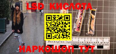 крисы Партизанск