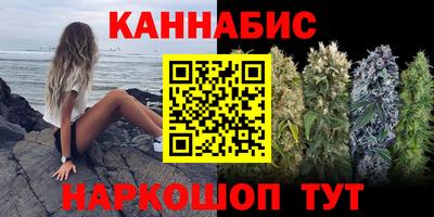 крисы Партизанск