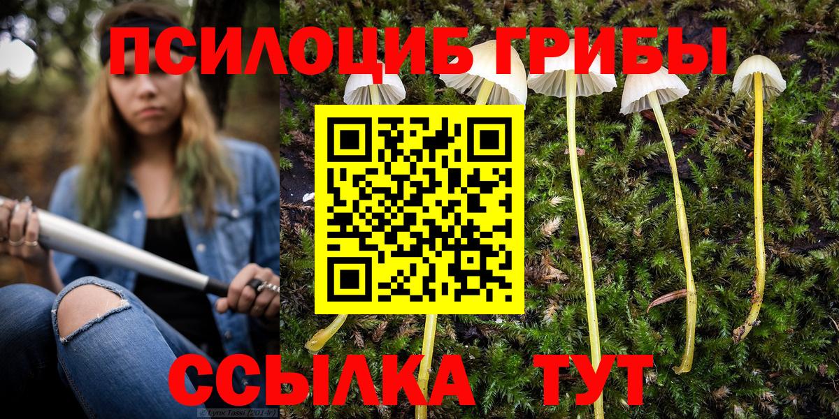 Приморско-Ахтарск  Псилоцибиновые грибы MAGIC MUSHROOMS  Галлюциногенные грибы Cubensis  Вход с VPN 